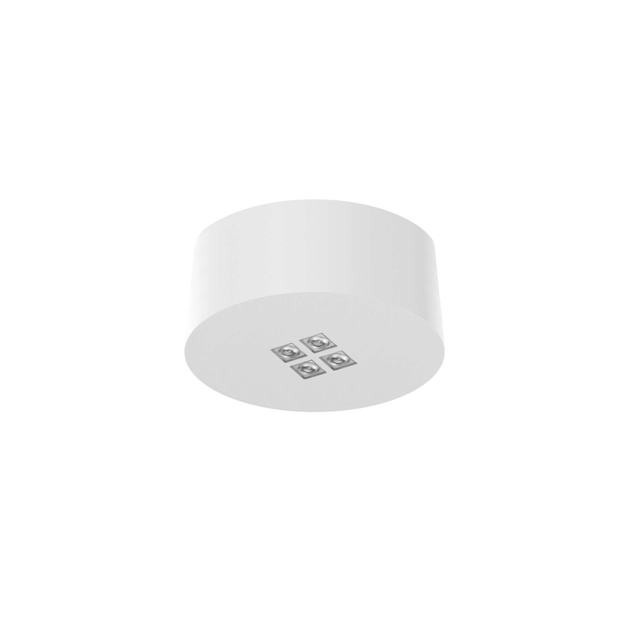 ELLIS SURFACE ROUND